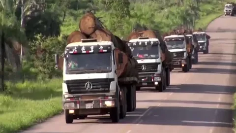 Tracteur routier 6×4 pour le transport de bois
