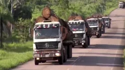 Tracteur routier 6×4 pour le transport de bois